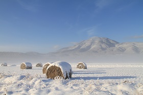 IMG_4473.JPG