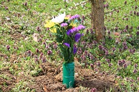 IMG_7347.JPG