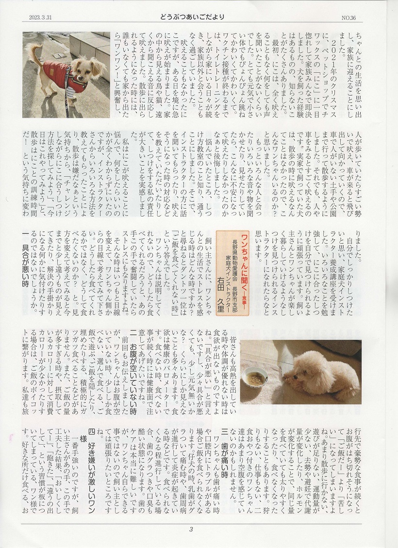 03.jpg