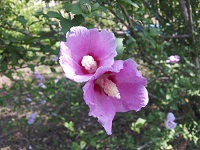 20120810_094335.jpg