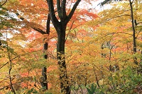 IMG_9628.jpg