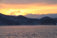 IMG_1203.jpg
