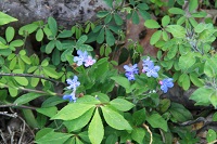 IMG_3867.jpg