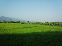 IMG_20140730_065705.jpg