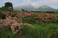 IMG_6251.JPG