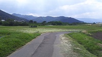 DSC_0003.JPG