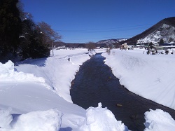 IMG_20170204_121319.jpg