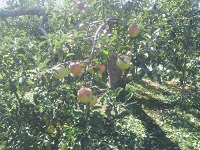 IMG_20170929_102051.jpg