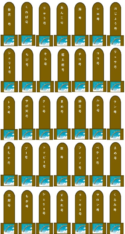 100.jpg