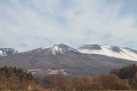 IMG_0101.jpg