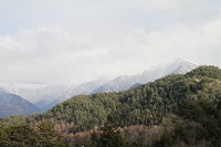 IMG_4377.jpg