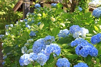 IMG_6634.jpg