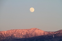 IMG_0838.jpg