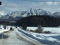 image1.JPG