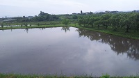DSC_0019.JPG