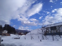 IMG_20180111_151330.jpg