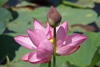 IMG_0865.jpg