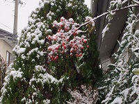 IMG_1207.JPG