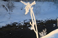 IMG_9738.JPG