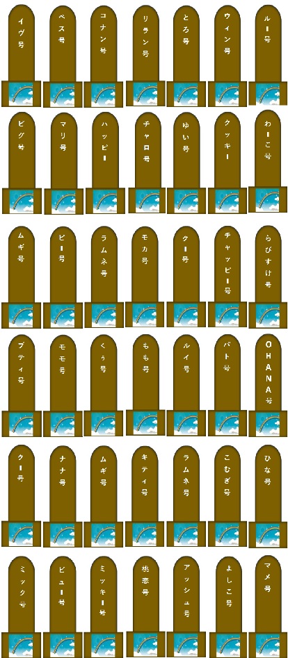 100.jpg