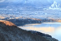 IMG_9910.jpg