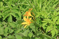 IMG_6709.jpg