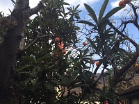 image1.JPG