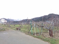 IMG_1469.JPG