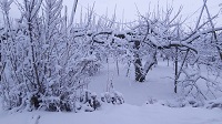 DSC_0166.JPG