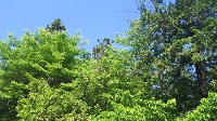 DSC_0008.JPG
