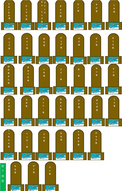 200.jpg