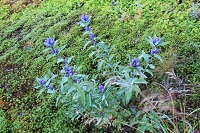IMG_7506.jpg