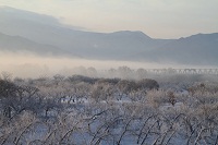 IMG_1634.jpg