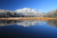 IMG_9975.jpg