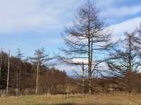 image2.JPG