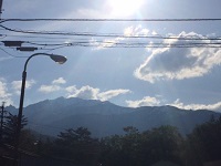 image1.JPG