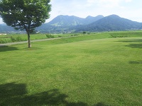 IMG_20180713_152441.jpg