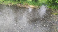 DSC_7480.JPG