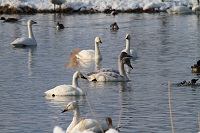 IMG_1307.jpg