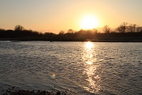 IMG_6862.jpg