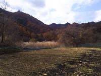 IMG_20161117_125136.jpg