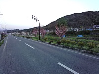 006.jpg