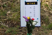 IMG_3528.JPG