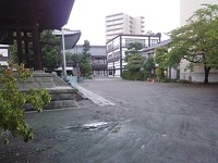 002.jpg