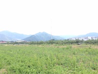 IMG_1557.JPG