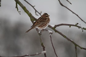 IMG_2857.JPG