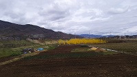 DSC_0047.JPG