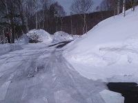 IMG_20170325_132852.jpg