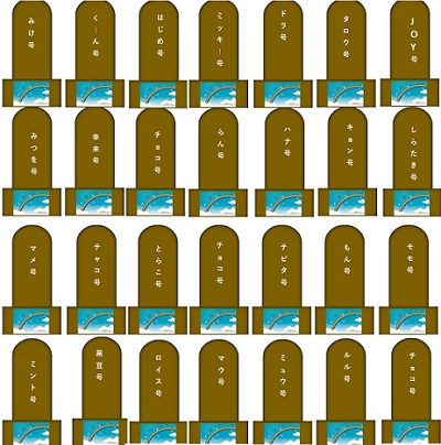 02.jpg