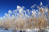 IMG_0823.jpg